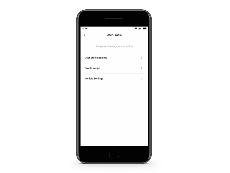 Close-up of the Hyundai Bluelink app 