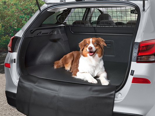 Аксесуари для автомобілів Hyundai у м. Харків | Автотрейдінг Харків - фото 10