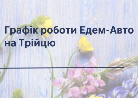 Hyundai Харьков — Автотрейдінг офіційний дилер Хюндай в Харкові — купить Hyundai в автосалон - фото 11